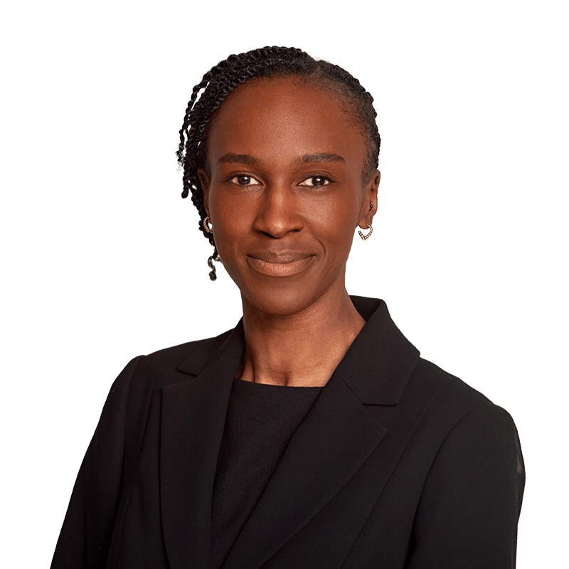 594 matthew timm cut out web