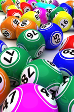 Bingo 11261111 s 146x219