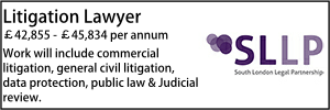SLLP jan 22 litigation lawyer
