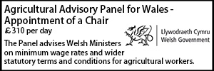 Welsh Gov Feb 26 AoC
