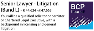bcp senior lawyer litigation 