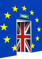 Brexit 2 54182708 s 146x219