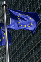 EU flag iStock 000009228887XSmall 146x219