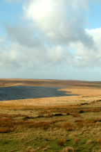 Land iStock 000000070770XSmall 146x219