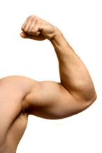 Muscle iStock 000001150267XSmall 146x219