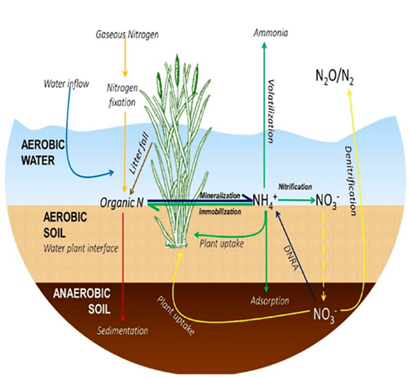 Nutrient Neutrality Diagramme
